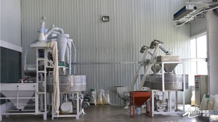 种植加工一体化 盂县“辰厚、佳珍”产业发展持续发力与技术推广新路径